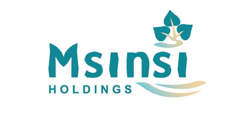 Graduates24-Msinsi Holdings